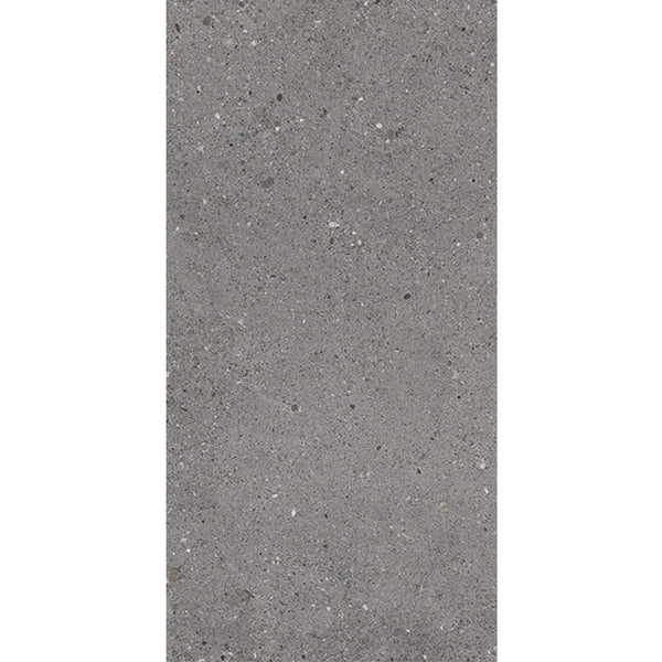 Everstone Tile Everstone Frammenti Matt Finish 300x600mm Made in Italy - Fumo