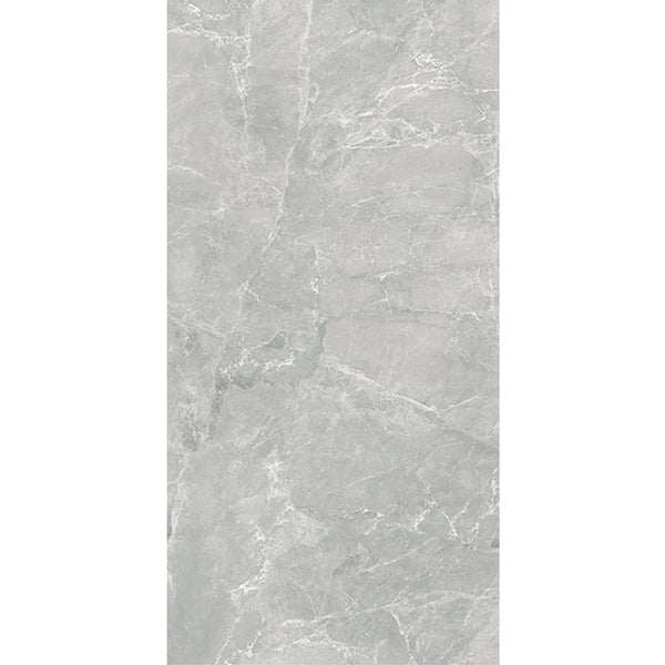 Everstone Tile Everstone Joyce Matt Finish 300x600mm Made in Italy - Tortora