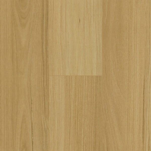 FloorTex simple Floortex Pinaco NextGen Laminate floor - NP5502 Blackbutt
