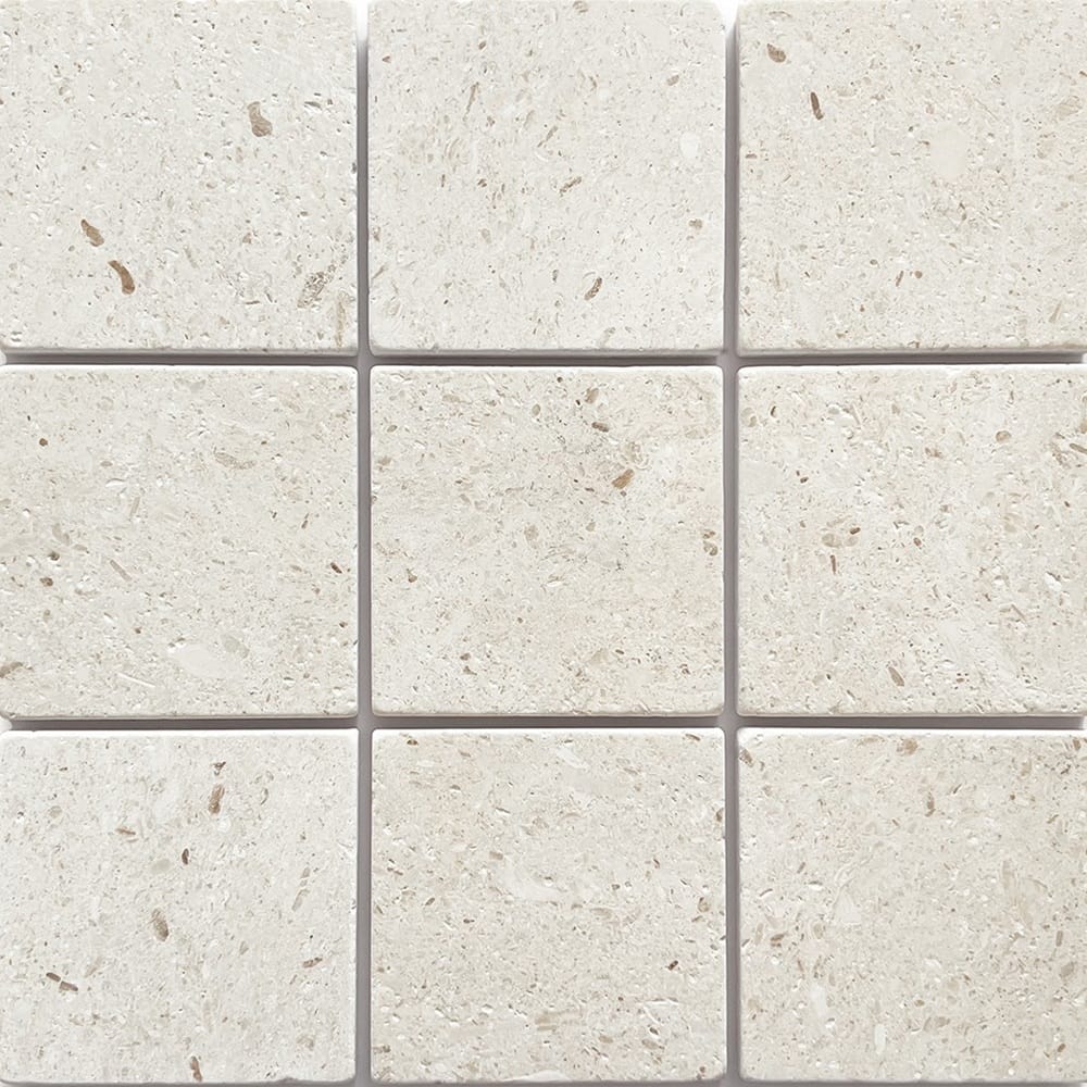 GNS Tile 1APOWHT APOLLO WHITE LIMESTONE TUMBLED 100X100