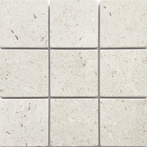 GNS Tile 1APOWHT APOLLO WHITE LIMESTONE TUMBLED 100X100