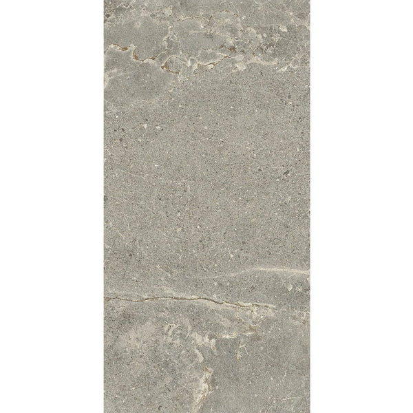 GNS Tile 36ARDASH ADBH3624 ARDESIA ASH BROWN HONED 300X600