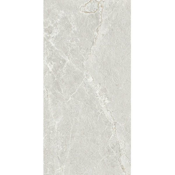 GNS Tile 36ARDSVH ADSH3621 ARDESIA SILVER HONED 300X600
