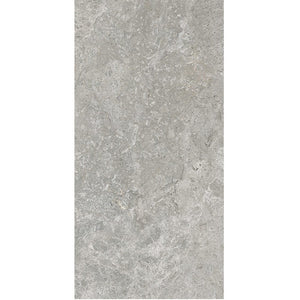 GNS Tile 36ATUGYM 36ST07R ARCTIC TUNDRA GREY MATT P3 300X600