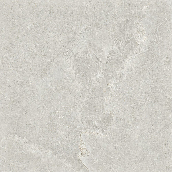 GNS Tile 6ARDLGX ADLS6023 ARDESIA LIGHT GREY EXTERNAL P5 600X600