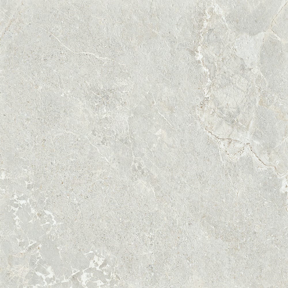 GNS Tile 6ARDSVH ADSH6021 ARDESIA SILVER HONED 600X600