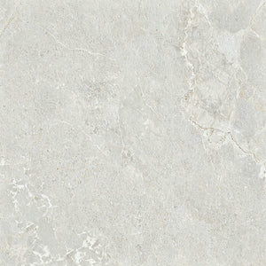 GNS Tile 6ARDSVH ADSH6021 ARDESIA SILVER HONED 600X600