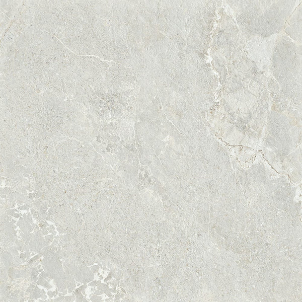 GNS Tile 6ARDSVX ADSS6021 ARDESIA SILVER EXTERNAL P5 600X600