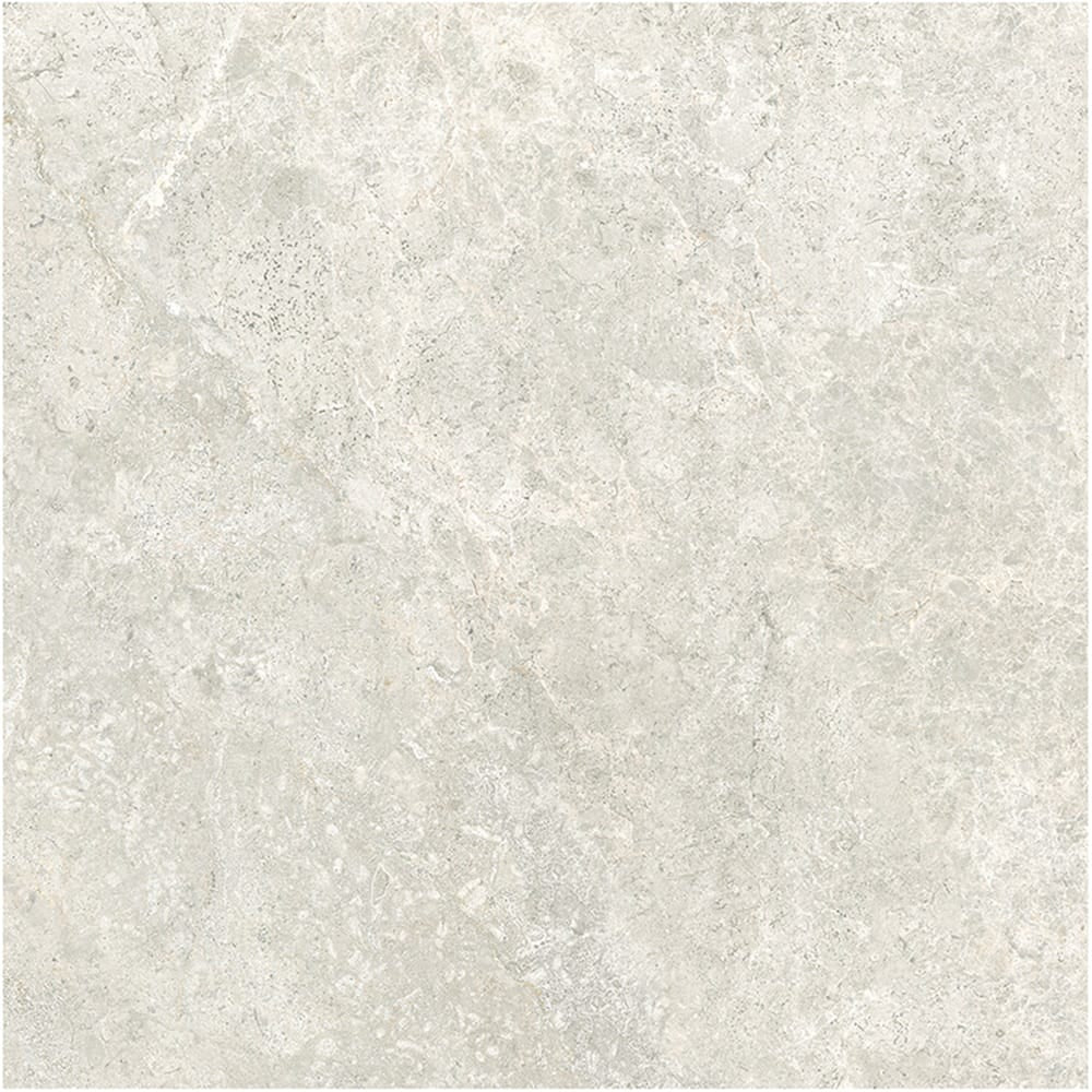 GNS Tile 6ATUBEM 60ST02R ARCTIC TUNDRA BEIGE MATT P3 600X600