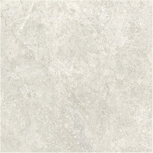 GNS Tile 6ATUBEM 60ST02R ARCTIC TUNDRA BEIGE MATT P3 600X600
