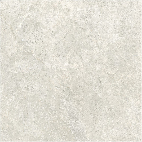 GNS Tile 6ATUBEM 60ST02R ARCTIC TUNDRA BEIGE MATT P3 600X600