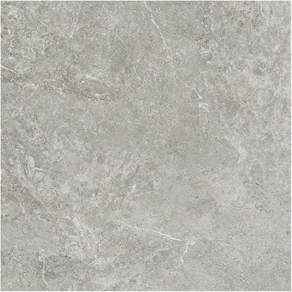 GNS Tile 6ATUGYM 60ST07R ARCTIC TUNDRA GREY MATT P3 600X600