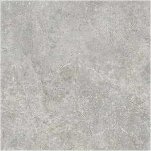 GNS Tile 6ATUGYX 60ST07URD ARCTIC TUNDRA GREY EXTERNAL P5 600X600