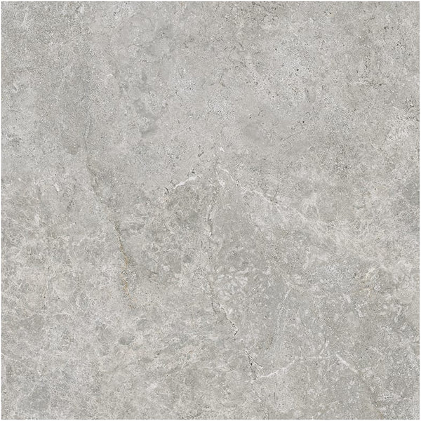 GNS Tile 6ATUGYX 60ST07URD ARCTIC TUNDRA GREY EXTERNAL P5 600X600
