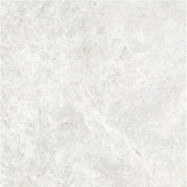 GNS Tile 6ATUWHM 60ST01R ARCTIC TUNDRA WHITE MATT P3 600X600