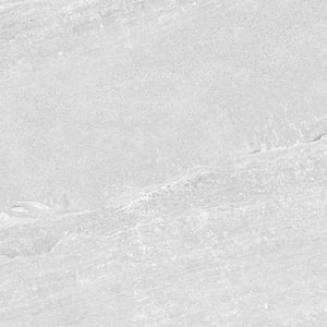 GNS Tile 6SATSVM ST6601 SATURN SILVER MATT P5 600X600