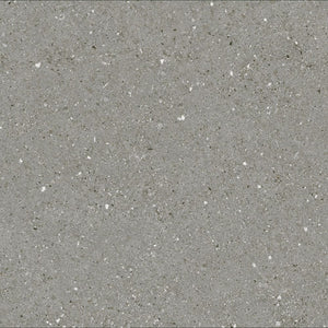 VICTILES Tile 6PDBGYM  PRIME DOUBLE LIGHT GREY MATT 600X600