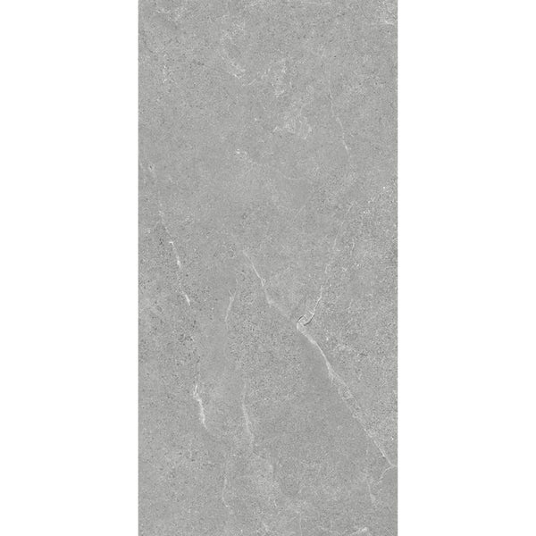 DSS Tile GRI0025	VENUS MID GREY MATT 300X600MM 36LH07R