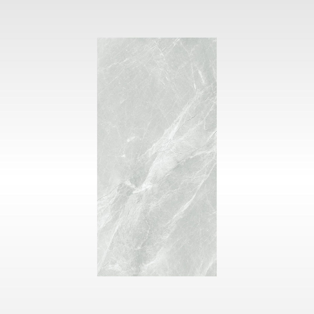 HF Tile Fg Silver 300x600 Polish
