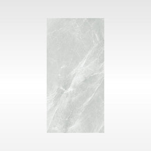 HF Tile Fg Silver 300x600 Polish