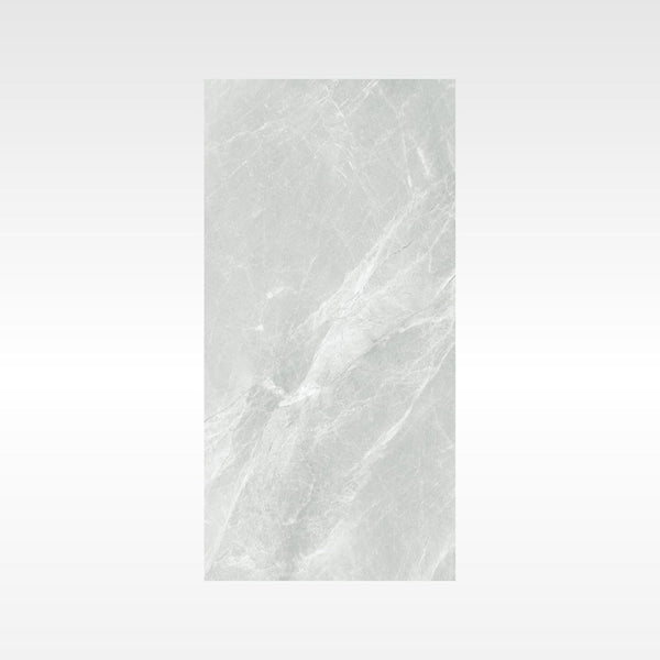 HF Tile Fg Silver 300x600 Polish