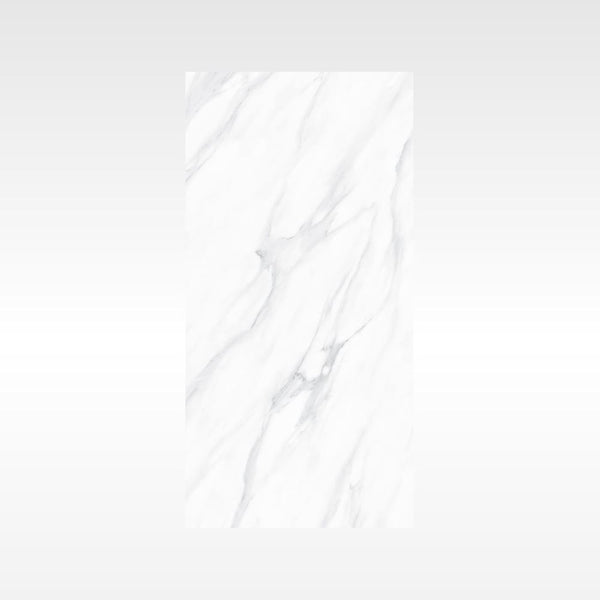 HF Tile SnowWhite Grey 600x1200 Polish