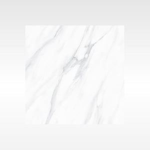HF Tile SnowWhite Grey 600x600 Polish