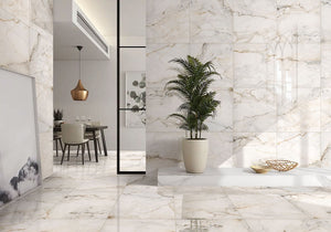 DSS Tile Luna Gold Polished Tile 600x600mm