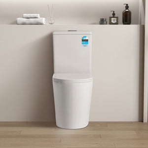 KDK Toilets KDK022R — Avis KDK022R Rimless Toilet Suite