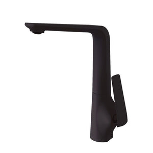 KT33.02 Esperia Matte Black Kitchen Mixer