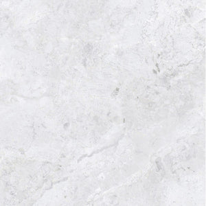 MEN0007 ARCTIC TUNDRA WHITE POLISH 600X600MM 6S75806-L
