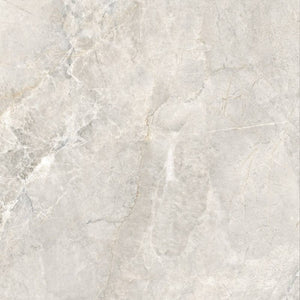 DSS Tile MEN0013 ARCTIC TUNDRA BEIGE MATT 600X600MM 6DGM12234-B