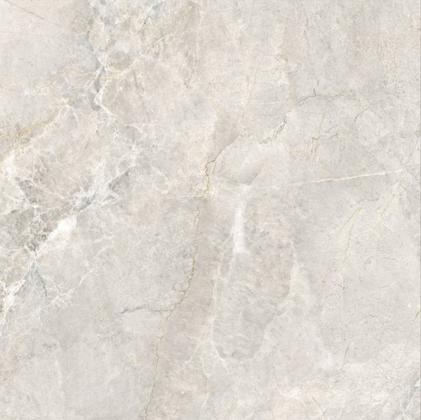 DSS Tile MEN0013 ARCTIC TUNDRA BEIGE MATT 600X600MM 6DGM12234-B