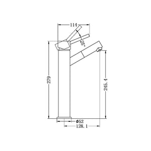 Nero Mixer Taps DOLCE TALL BASIN MIXER ANGLE SPOUT CHROME (NR250801aCH)