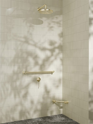 Nero Mixer Taps MECCA CARE SHOWER MIXER BRUSHED GOLD (NR221911XBG)