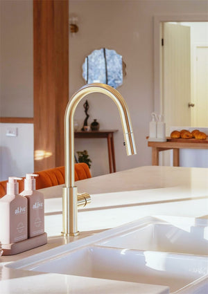 Nero Mixer Taps MECCA PULL OUT SINK MIXER WITH VEGIE SPRAY FUNCTION BRUSHED GOLD (NR221908BG)