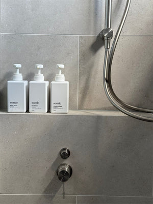 Nero Mixer Taps MECCA SHOWER MIXER WITH DIVERTOR SEPARATE BACK PLATE BRUSHED NICKEL (NR221911SBN)