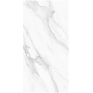 NP Tile AD08 MARBLE STYLE GLOSS 300*600mm