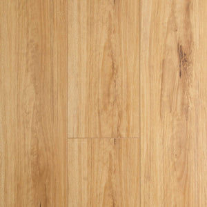 Preference Floors simple Preference Oakleaf Laminate 8mm - Blackbutt