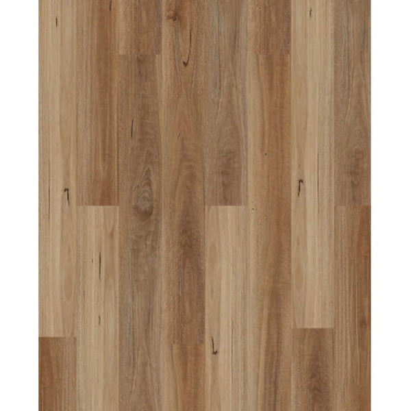 Sunstar Flooring simple Sunstar Authentic 7MM Hybrid Floor AC4 - 701 Spotted Gum