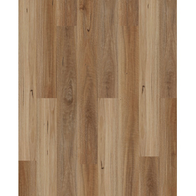 Sunstar Authentic 7MM Hybrid Floor AC4 - 701 Spotted Gum