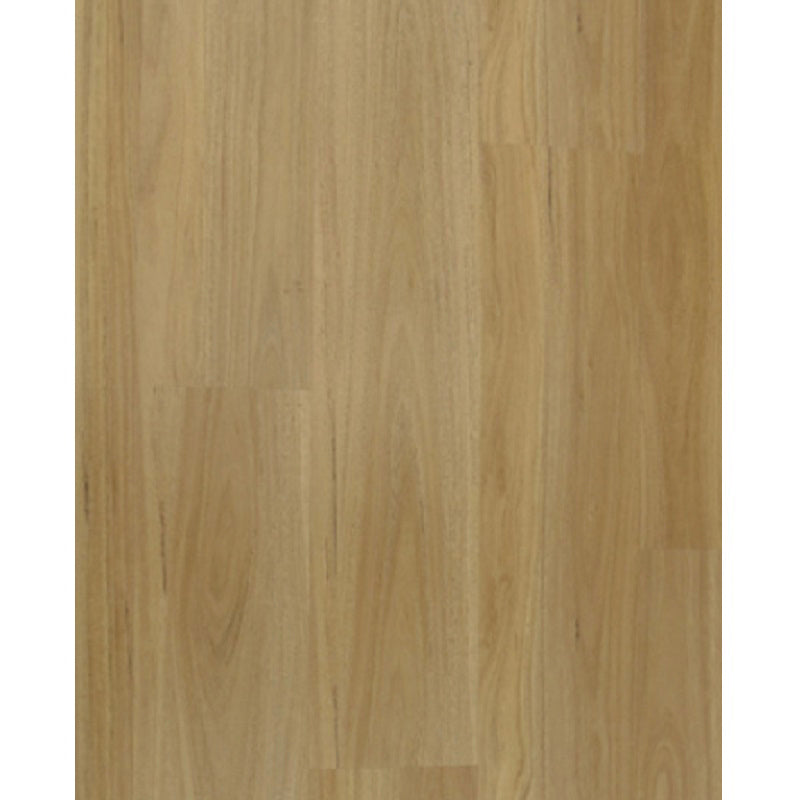 Sunstar Maxi 7MM Hybrid Floor - 904 Blackbutt
