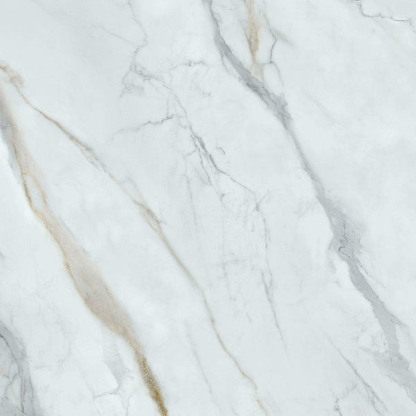 SWC Tile EXS CMB612M	EXECUTIVE STONE CALCUTTA MARBLE 600X1200 MATT