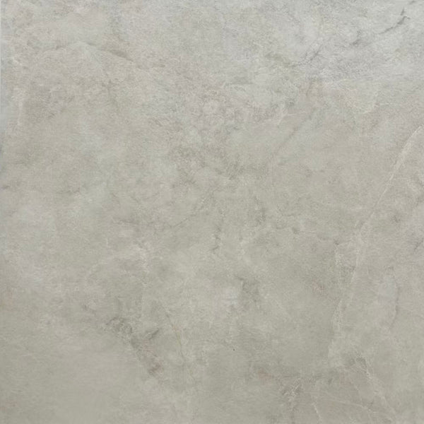 SWC Tile MMS BEI60M	MEMORY STONE BEIGE 600X600 MATT P4