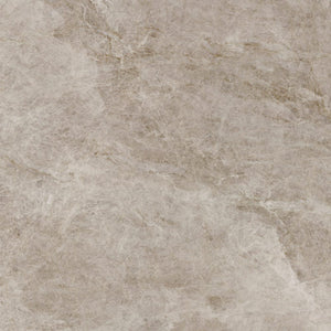 SWC Tile TAJ BEI60HS	TAJ MAHAL BEIGE 600X600 SILK