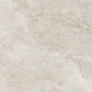 SWC Tile TAJ WHT60HS	TAJ MAHAL WHITE 600X600 SILK