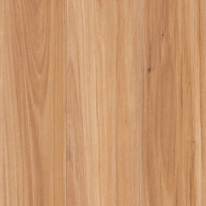 Terra Mater simple NuCore Excellence 1427 Blackbutt AC4 Laminate Floor 12mm