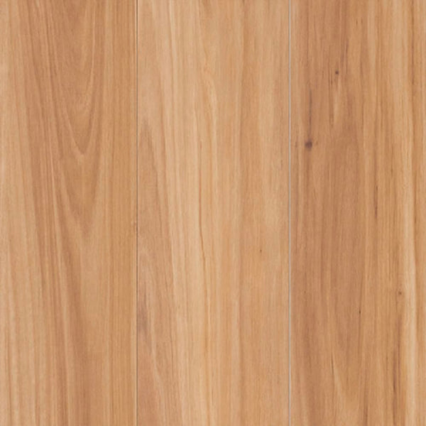 Terra Mater simple NuCore Excellence 1427 Blackbutt AC4 Laminate Floor 12mm