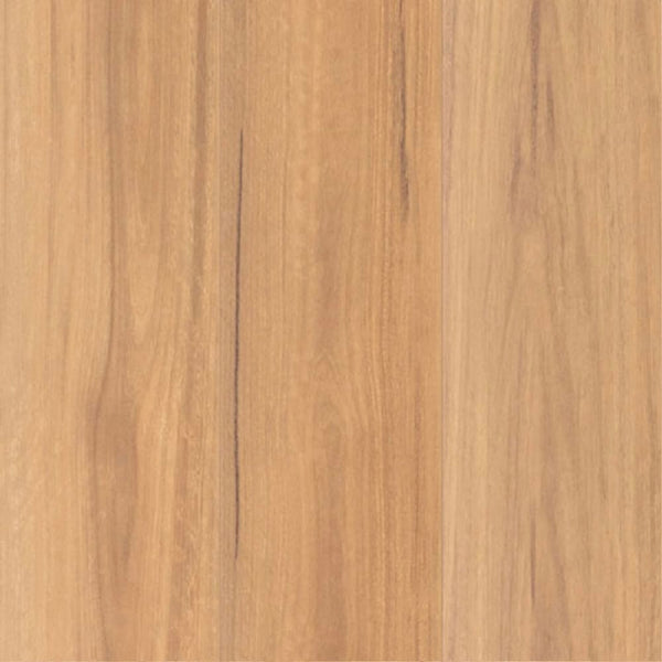 Terra Mater simple NuCore Extreme 1416 Spotted Gum AC5 Laminte Flooring 12mm