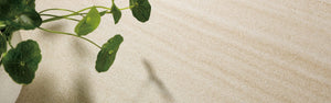 THEO DI Tile Pyrmont Sandstone P5 300x600mm